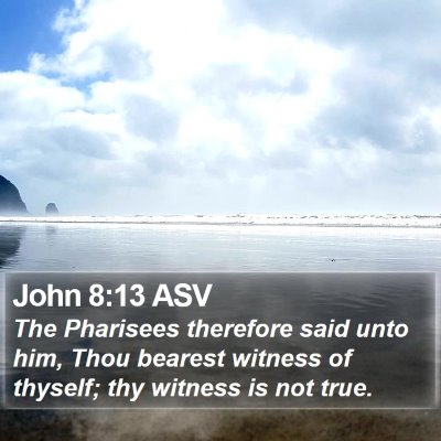 John 8:13 ASV Bible Verse Image