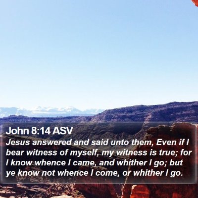 John 8:14 ASV Bible Verse Image