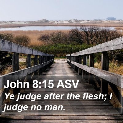 John 8:15 ASV Bible Verse Image