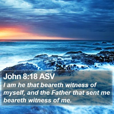 John 8:18 ASV Bible Verse Image