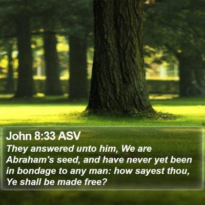 John 8:33 ASV Bible Verse Image