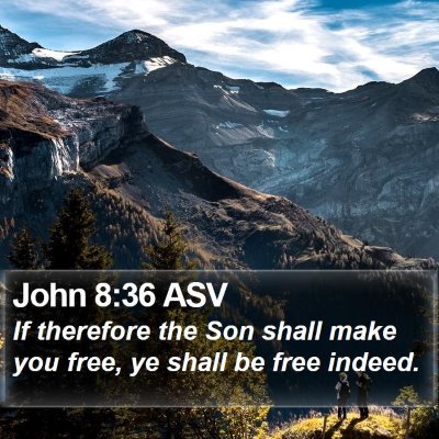 John 8:36 ASV Bible Verse Image