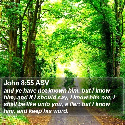 John 8:55 ASV Bible Verse Image