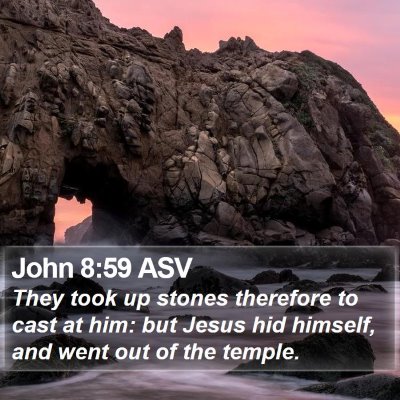 John 8:59 ASV Bible Verse Image