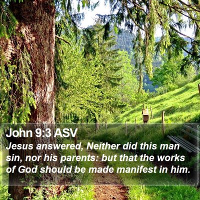John 9:3 ASV Bible Verse Image