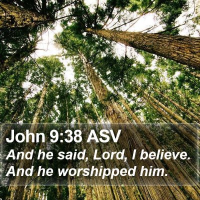 John 9:38 ASV Bible Verse Image