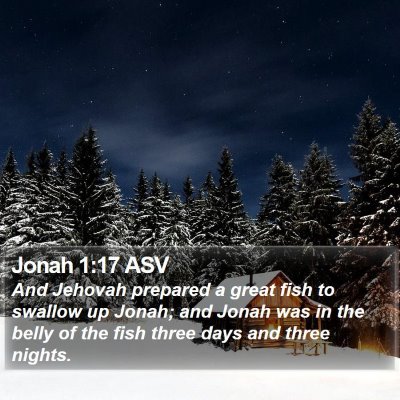 Jonah 1:17 ASV Bible Verse Image