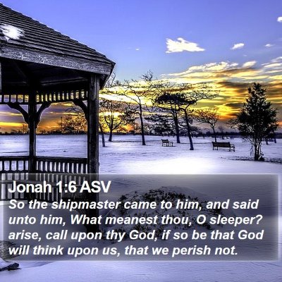 Jonah 1:6 ASV Bible Verse Image