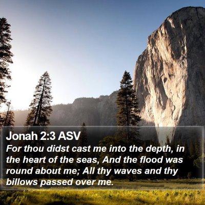 Jonah 2:3 ASV Bible Verse Image