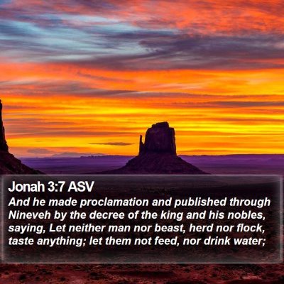Jonah 3:7 ASV Bible Verse Image