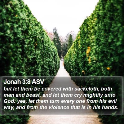 Jonah 3:8 ASV Bible Verse Image