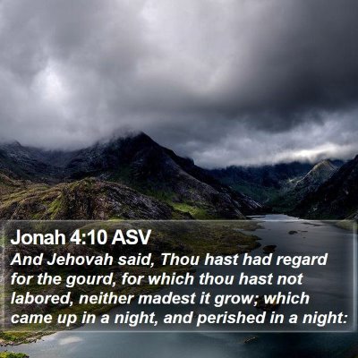 Jonah 4:10 ASV Bible Verse Image