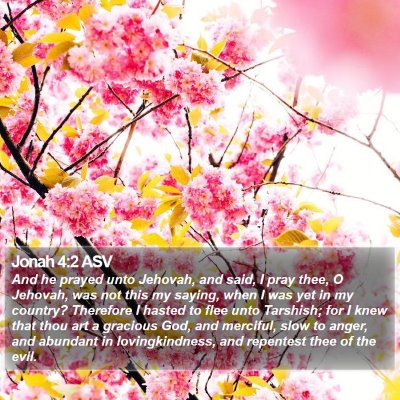 Jonah 4:2 ASV Bible Verse Image