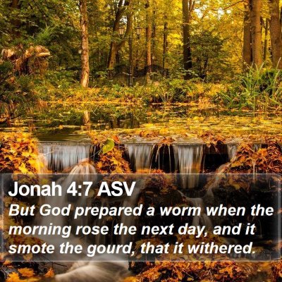 Jonah 4:7 ASV Bible Verse Image