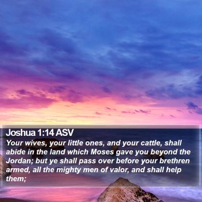 Joshua 1:14 ASV Bible Verse Image