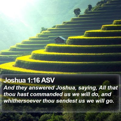 Joshua 1:16 ASV Bible Verse Image