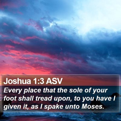 Joshua 1:3 ASV Bible Verse Image