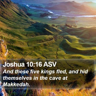 Joshua 10:16 ASV Bible Verse Image