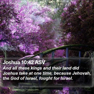 Joshua 10:42 ASV Bible Verse Image