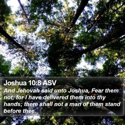 Joshua 10:8 ASV Bible Verse Image
