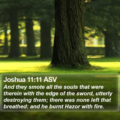Joshua 11:11 ASV Bible Verse Image