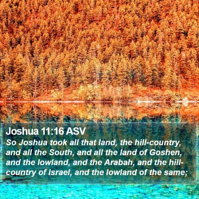 Joshua 11:16 ASV Bible Verse Image