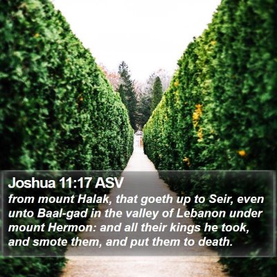 Joshua 11:17 ASV Bible Verse Image