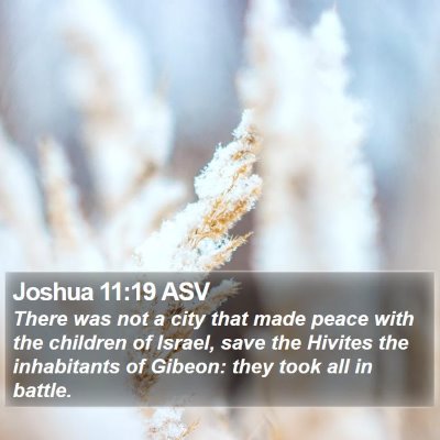 Joshua 11:19 ASV Bible Verse Image