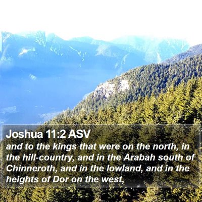 Joshua 11:2 ASV Bible Verse Image