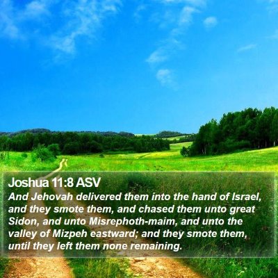 Joshua 11:8 ASV Bible Verse Image