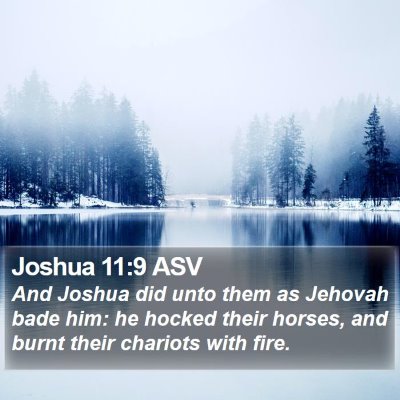 Joshua 11:9 ASV Bible Verse Image
