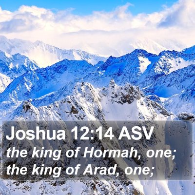 Joshua 12:14 ASV Bible Verse Image