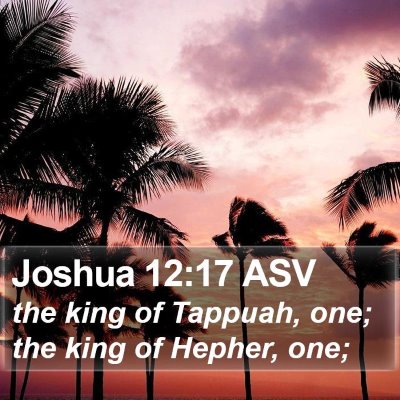 Joshua 12:17 ASV Bible Verse Image