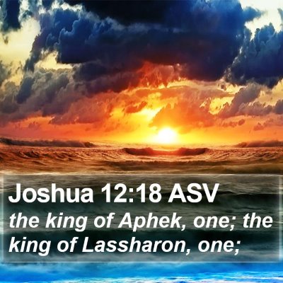 Joshua 12:18 ASV Bible Verse Image