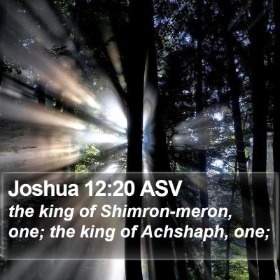 Joshua 12:20 ASV Bible Verse Image