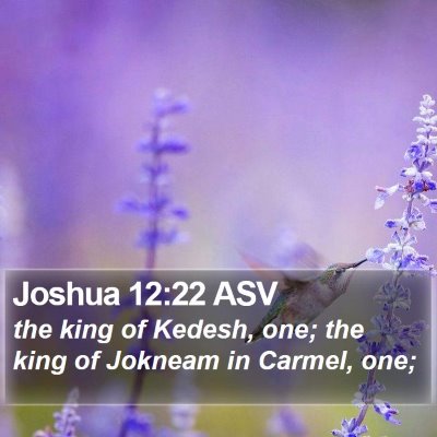 Joshua 12:22 ASV Bible Verse Image