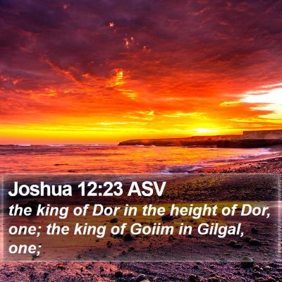 Joshua 12:23 ASV Bible Verse Image