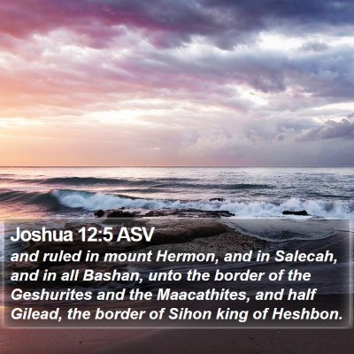 Joshua 12:5 ASV Bible Verse Image