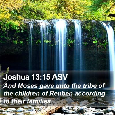 Joshua 13:15 ASV Bible Verse Image