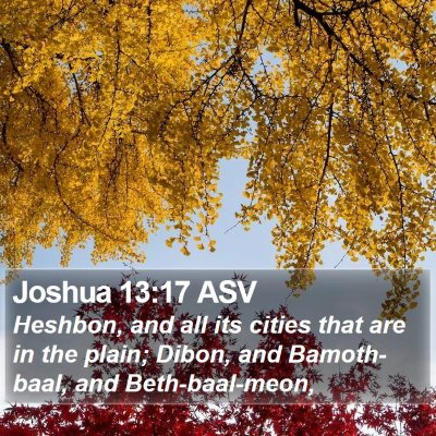 Joshua 13:17 ASV Bible Verse Image
