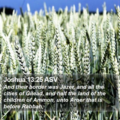 Joshua 13:25 ASV Bible Verse Image