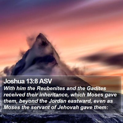 Joshua 13:8 ASV Bible Verse Image