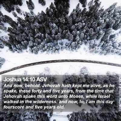 Joshua 14:10 ASV Bible Verse Image