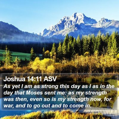 Joshua 14:11 ASV Bible Verse Image
