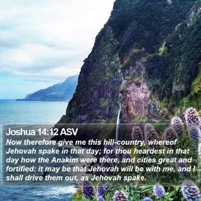 Joshua 14:12 ASV Bible Verse Image