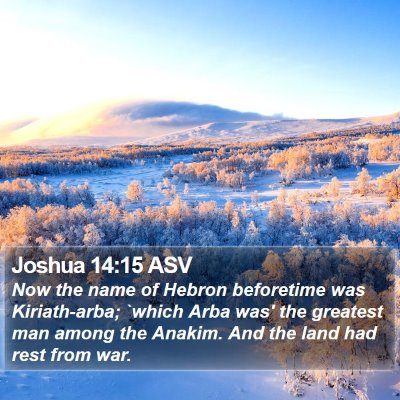 Joshua 14:15 ASV Bible Verse Image