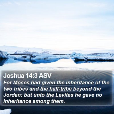 Joshua 14:3 ASV Bible Verse Image