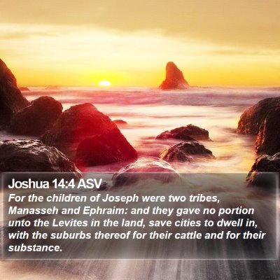 Joshua 14:4 ASV Bible Verse Image