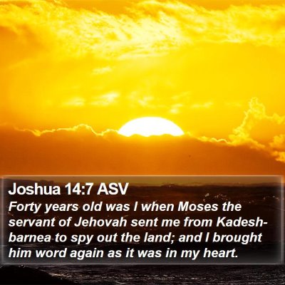 Joshua 14:7 ASV Bible Verse Image