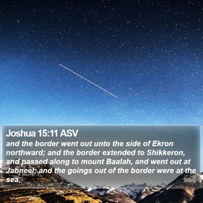 Joshua 15:11 ASV Bible Verse Image